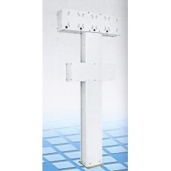 Columna de servicio bilateral