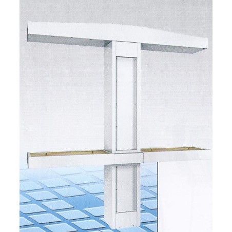 Columna de servicio bilateral