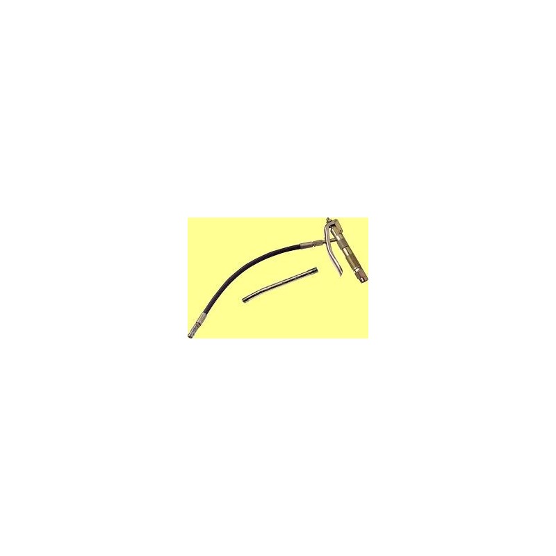 Pistolet avec flexible/rigide et raccord tournant simple droite Pistolet avec flexible/rigide et raccord tournant simple droite