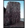 Silicon Carbide