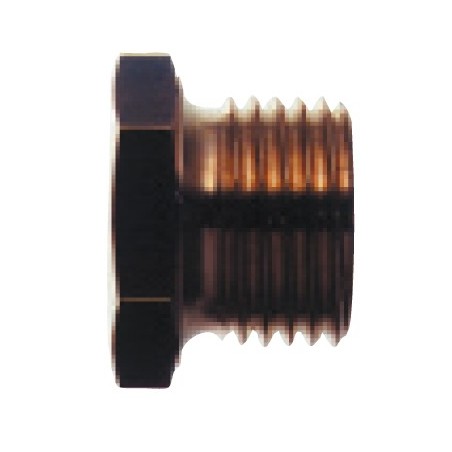 Hexagonal closing cap 1/8"