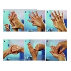 Hydroalcoholic hand gel with Aloe Vera, 5L