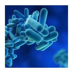 LUBRI BAC LEGIONELLA, 5L - Bactericide