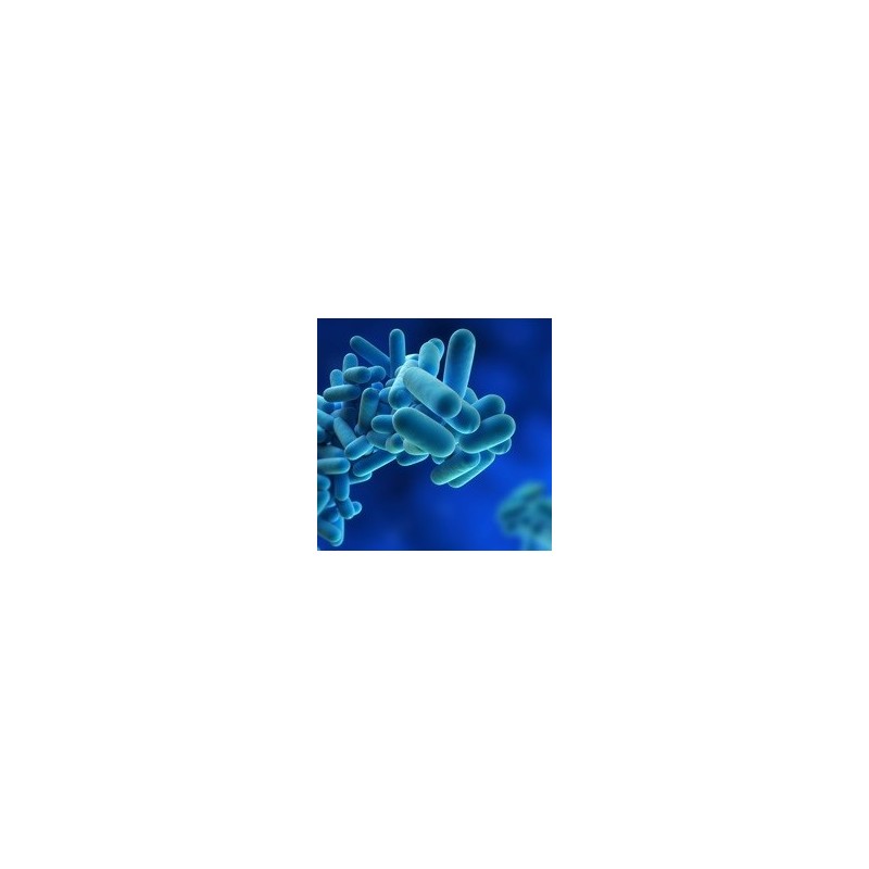 LUBRI BAC LEGIONELLA, 5L - Bactericide LUBRI BAC LEGIONELLA, 5L - Bactericide