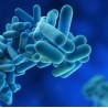 LUBRI BAC LEGIONELLA, 5L - Bactericide