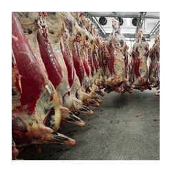 LUBRI BACT 400ml  - Desinfectante - Caja 12uds.