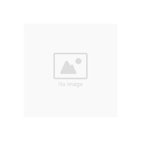 Bomba grasa automatica LUBE EGM-10S-4-4C