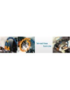 Cooling Lubricant Hose Systems 