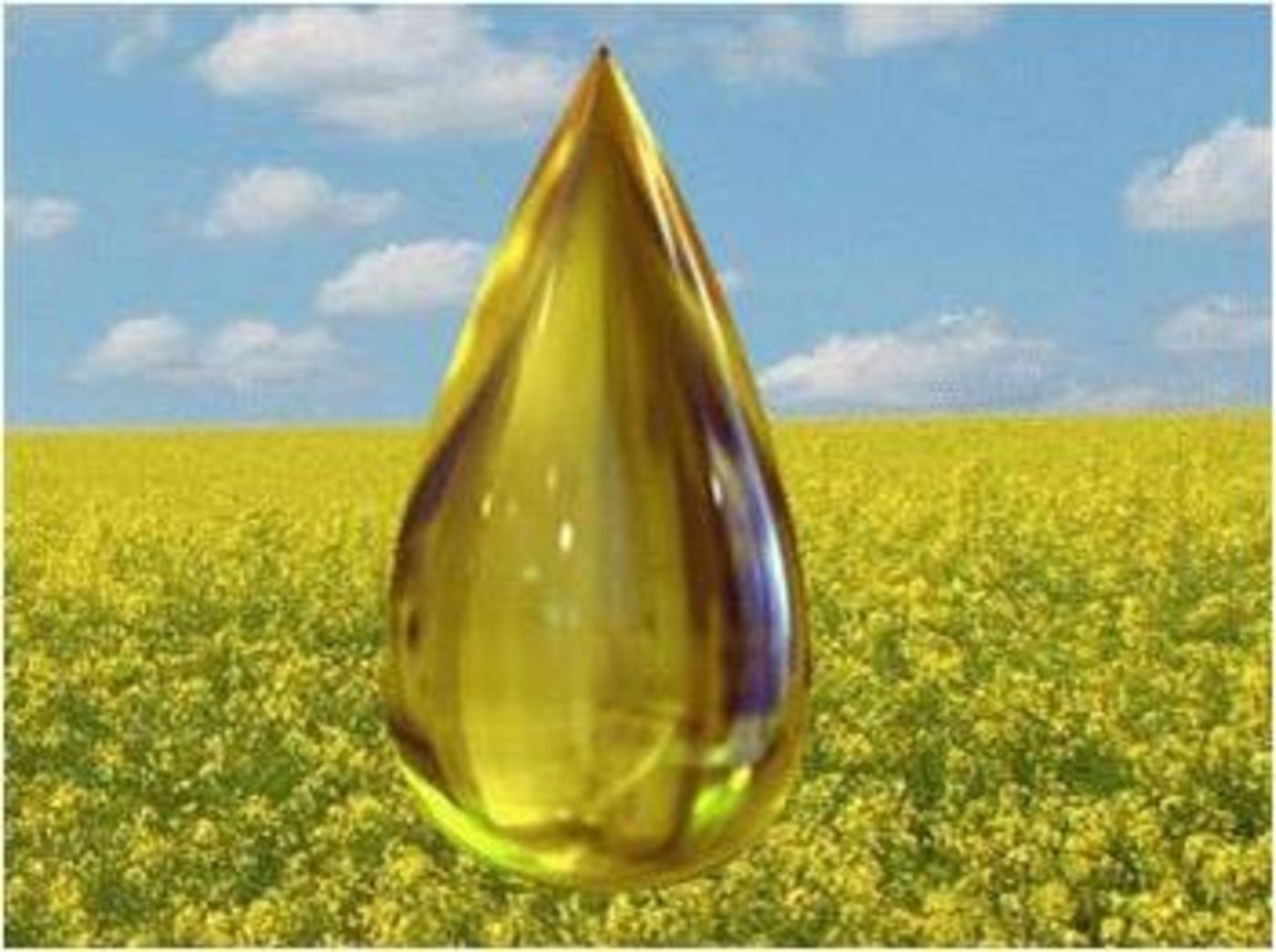Food-grade lubricants | Lubricalia