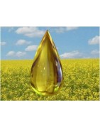 Lubrificantes qualidade alimentar