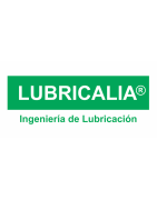 Inicio