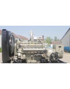 Biogas engines